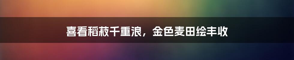 喜看稻菽千重浪，金色麦田绘丰收