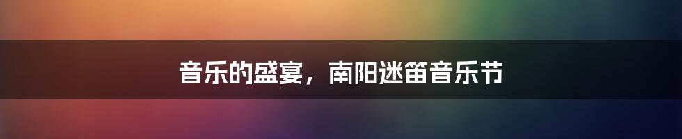 音乐的盛宴，南阳迷笛音乐节