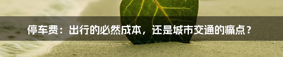 停车费：出行的必然成本，还是城市交通的痛点？