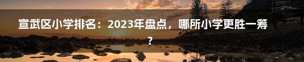 宣武区小学排名：2023年盘点，哪所小学更胜一筹？