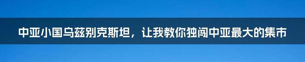 中亚小国乌兹别克斯坦，让我教你独闯中亚最大的集市