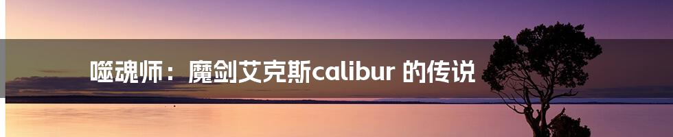 噬魂师：魔剑艾克斯calibur 的传说