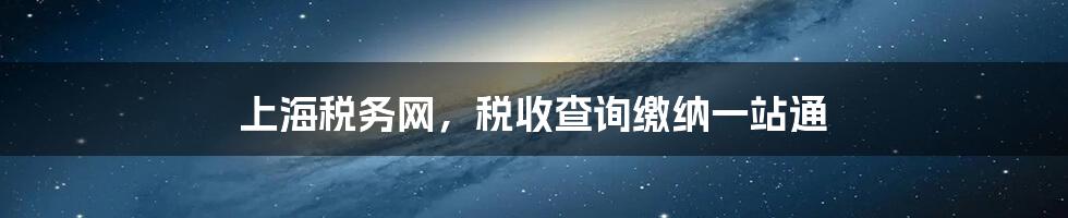 上海税务网，税收查询缴纳一站通