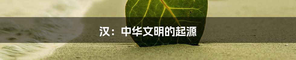 汉：中华文明的起源