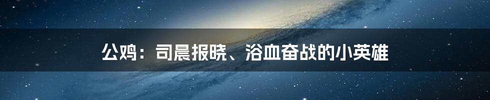 公鸡：司晨报晓、浴血奋战的小英雄