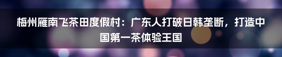 梅州雁南飞茶田度假村：广东人打破日韩垄断，打造中国第一茶体验王国