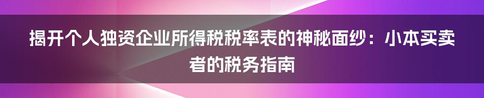 揭开个人独资企业所得税税率表的神秘面纱：小本买卖者的税务指南