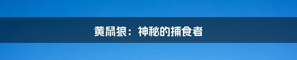 黄鼠狼：神秘的捕食者