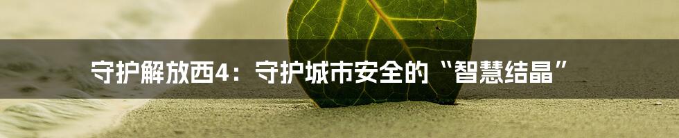 守护解放西4：守护城市安全的“智慧结晶”