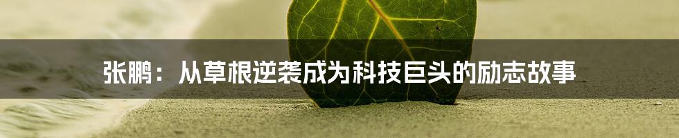 张鹏：从草根逆袭成为科技巨头的励志故事