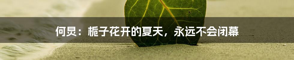 何炅：栀子花开的夏天，永远不会闭幕