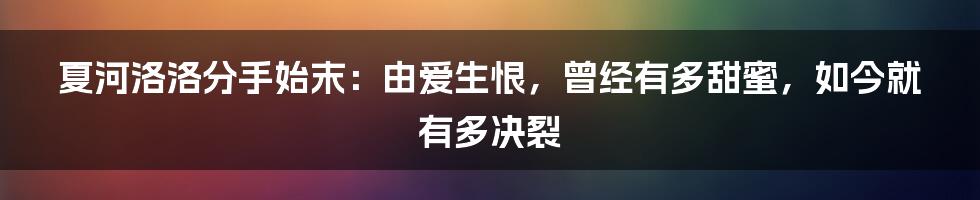 夏河洛洛分手始末：由爱生恨，曾经有多甜蜜，如今就有多决裂