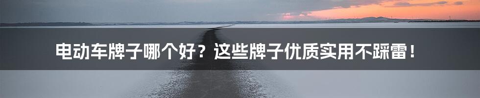 电动车牌子哪个好？这些牌子优质实用不踩雷！