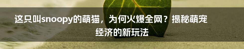 这只叫snoopy的萌猫，为何火爆全网？揭秘萌宠经济的新玩法