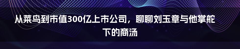 从菜鸟到市值300亿上市公司，聊聊刘玉章与他掌舵下的商汤