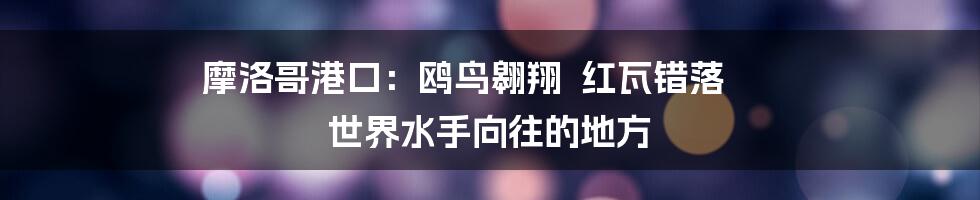 摩洛哥港口：鸥鸟翱翔  红瓦错落  世界水手向往的地方