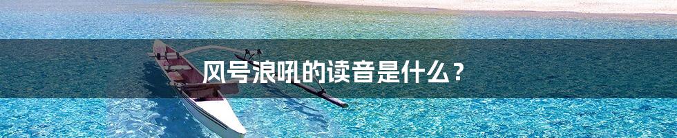 风号浪吼的读音是什么？