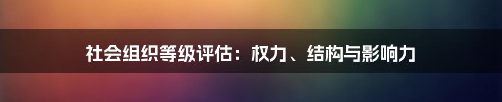 社会组织等级评估：权力、结构与影响力