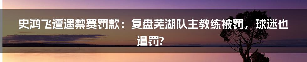 史鸿飞遭遇禁赛罚款：复盘芜湖队主教练被罚，球迷也追罚?