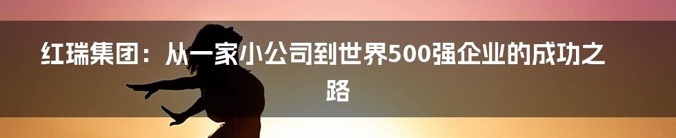 红瑞集团：从一家小公司到世界500强企业的成功之路