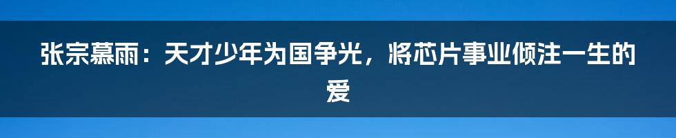 张宗慕雨：天才少年为国争光，将芯片事业倾注一生的爱