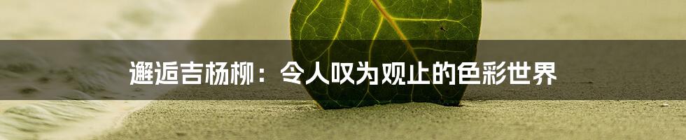 邂逅吉杨柳：令人叹为观止的色彩世界