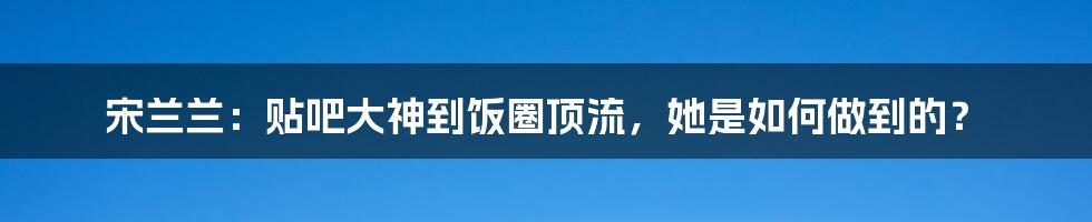 宋兰兰：贴吧大神到饭圈顶流，她是如何做到的？