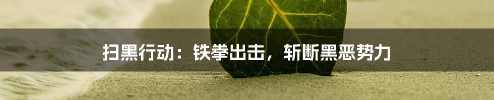 扫黑行动：铁拳出击，斩断黑恶势力