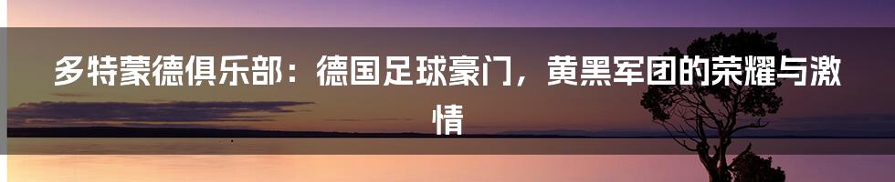 多特蒙德俱乐部：德国足球豪门，黄黑军团的荣耀与激情