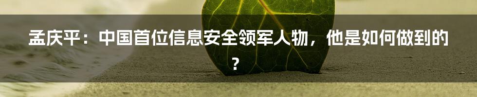 孟庆平：中国首位信息安全领军人物，他是如何做到的？