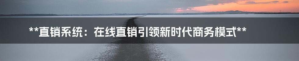 **直销系统：在线直销引领新时代商务模式**