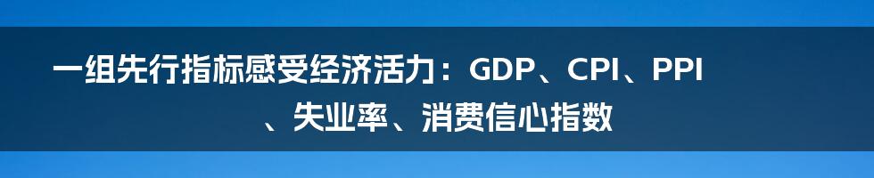 一组先行指标感受经济活力：GDP、CPI、PPI、失业率、消费信心指数