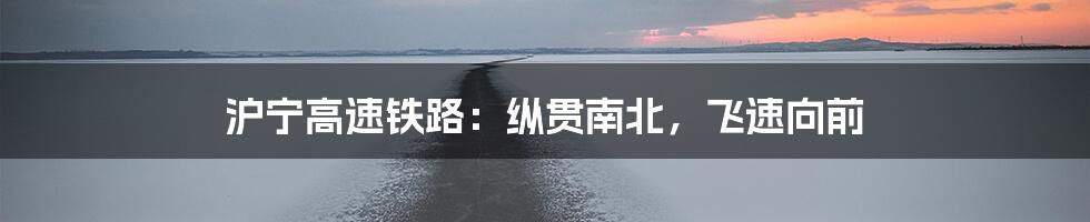 沪宁高速铁路：纵贯南北，飞速向前