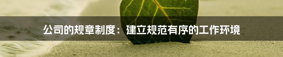 公司的规章制度：建立规范有序的工作环境