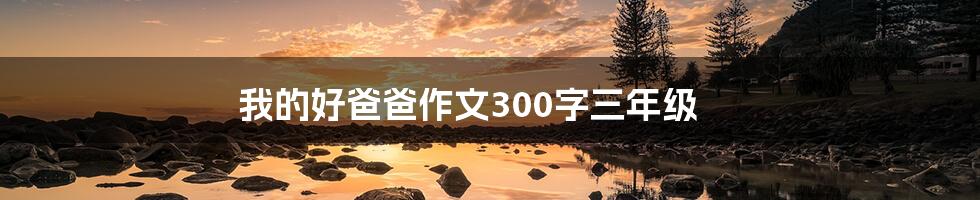 我的好爸爸作文300字三年级