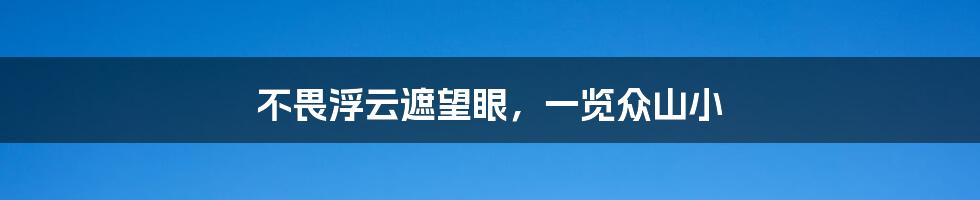 不畏浮云遮望眼，一览众山小