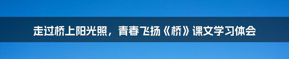 走过桥上阳光照，青春飞扬《桥》课文学习体会