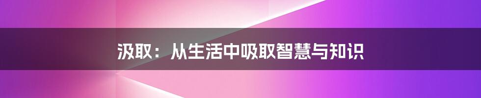 汲取：从生活中吸取智慧与知识