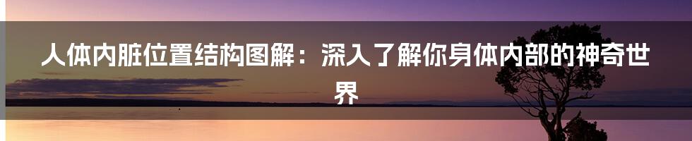 人体内脏位置结构图解：深入了解你身体内部的神奇世界