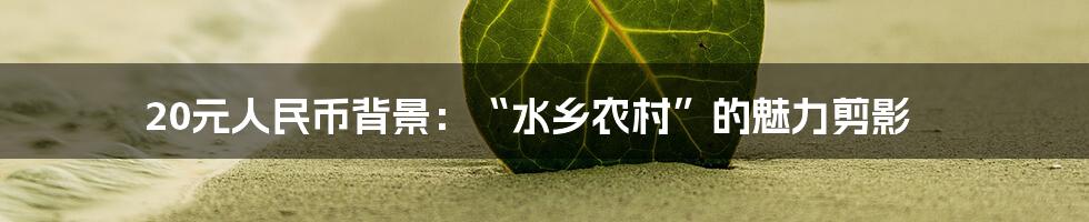 20元人民币背景：“水乡农村”的魅力剪影