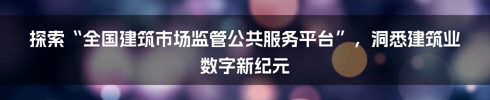 探索“全国建筑市场监管公共服务平台”，洞悉建筑业数字新纪元