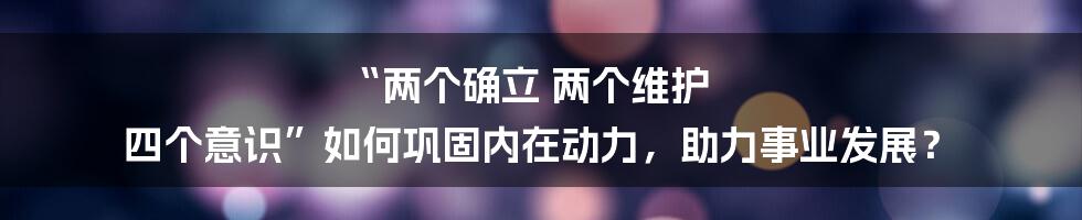 “两个确立 两个维护 四个意识”如何巩固内在动力，助力事业发展？