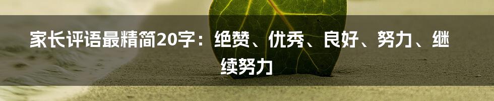 家长评语最精简20字：绝赞、优秀、良好、努力、继续努力