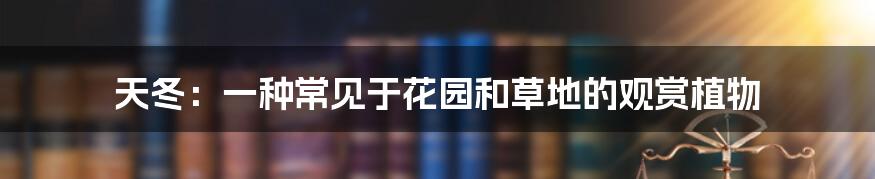 天冬：一种常见于花园和草地的观赏植物