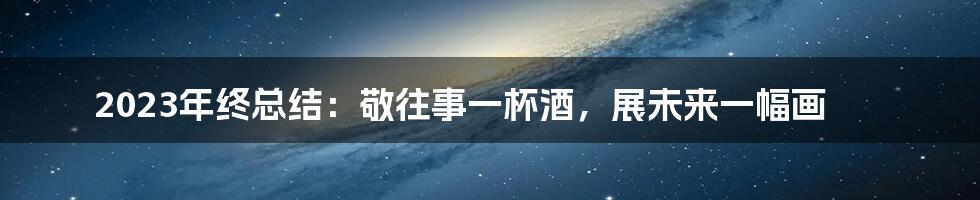 2023年终总结：敬往事一杯酒，展未来一幅画