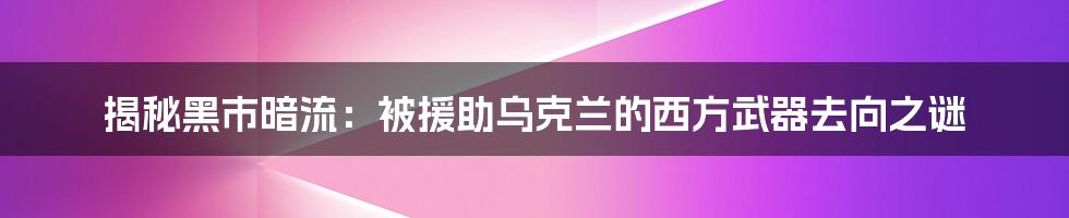 揭秘黑市暗流：被援助乌克兰的西方武器去向之谜