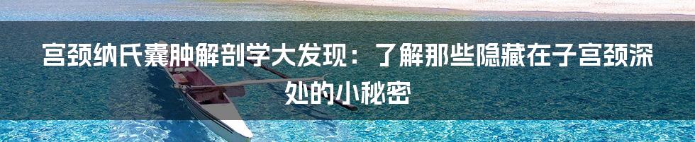 宫颈纳氏囊肿解剖学大发现：了解那些隐藏在子宫颈深处的小秘密