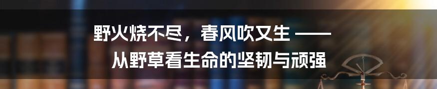 野火烧不尽，春风吹又生 —— 从野草看生命的坚韧与顽强