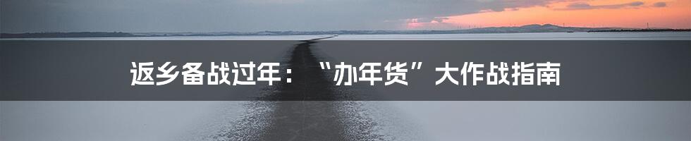 返乡备战过年：“办年货”大作战指南