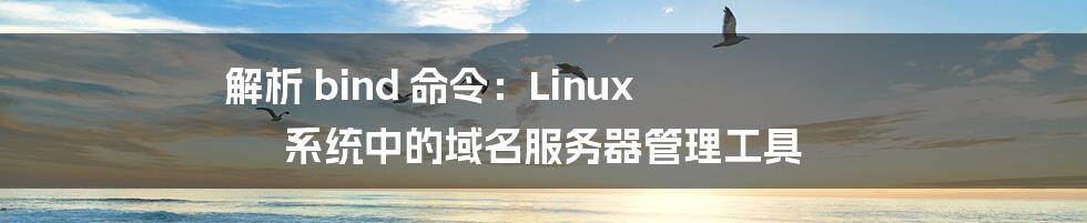 解析 bind 命令：Linux 系统中的域名服务器管理工具